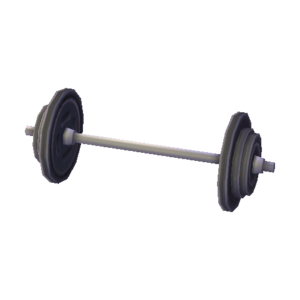 Barbell NL Model.png