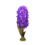 Hyacinth Lamp