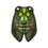 robust cicada