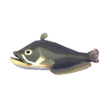 Catfish NL Model.png