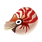 Chambered Nautilus PC Icon.png