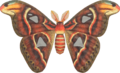 Atlas Moth NH.png