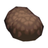 rare mushroom