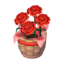 Red Carnations NL Model.png