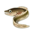 Darkfin Pike Eel PC Icon.png