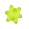 Leo fragment