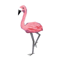 Mr. Flamingo