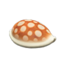 shell stool
