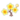 Yellow Sakura PC Icon.png