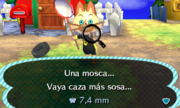 Caught Fly NL.png