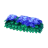 hydrangea bed