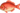 Red Snapper WW Sprite.png