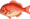 Red Snapper WW Sprite.png