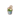 White Dandyplant PC Icon.png