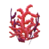Coral WW Model.png