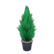 Cypress plant (New Horizons) - Animal Crossing Wiki - Nookipedia