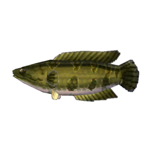 Giant Snakehead NL Model.png