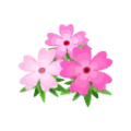 Magenta Moss Blossom PC Icon.png