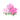 Magenta Moss Blossom PC Icon.png