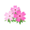 Magenta Moss Blossom PC Icon.png