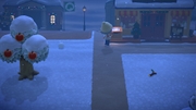 Nintendo Music ACNH 12 00 AM - Snowy.jpg