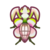 Orchid Mantis NH Icon.png