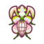 Orchid Mantis NH Icon.png