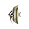 Angelfish PC Icon.png