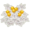 Jingle-Bell Holly PC Icon.png