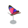 agrias butterfly model