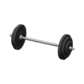 Barbell (Black) NH Icon.png