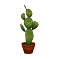 Cactus PG Model.png
