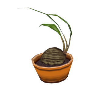 Coconut Palm CF Model.png