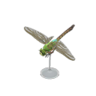 darner dragonfly model