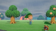 Nintendo Music ACNH Island Life Orientation 6 - Rainy.jpg