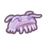 sea pig