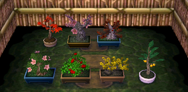 NL Bonsai Set.png
