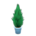 Cypress plant's Blue variant