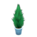 Cypress plant's Blue variant