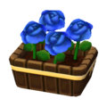 Blue Roses NL Model.png