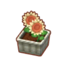 Potted W. Sunflowers PC Icon.png