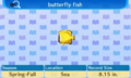 NL Encyclopedia Butterfly Fish.png