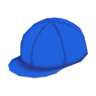 School cap