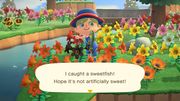 Sweetfish/Gallery - Animal Crossing Wiki - Nookipedia