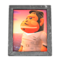Cesar's Photo (Silver) NH Icon.png