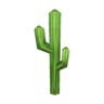 desert cactus