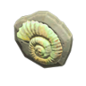 fossil doorplate