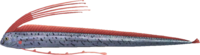 Oarfish NH.png