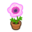 Pink-Windflower Plant NH Inv Icon.png
