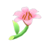pink lilies